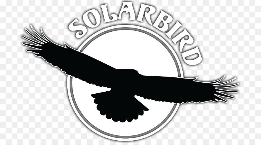 Bird Silhouette - Bird png download - 763*493 - Free Transparent Bird png Download.