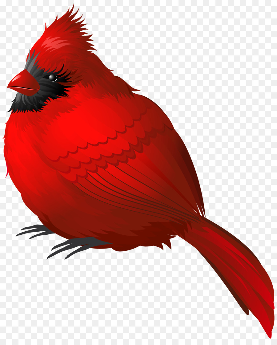 Songbird Northern cardinal Winter Clip art - Winter Bird Cliparts png download - 4925*6068 - Free Transparent Bird png Download.
