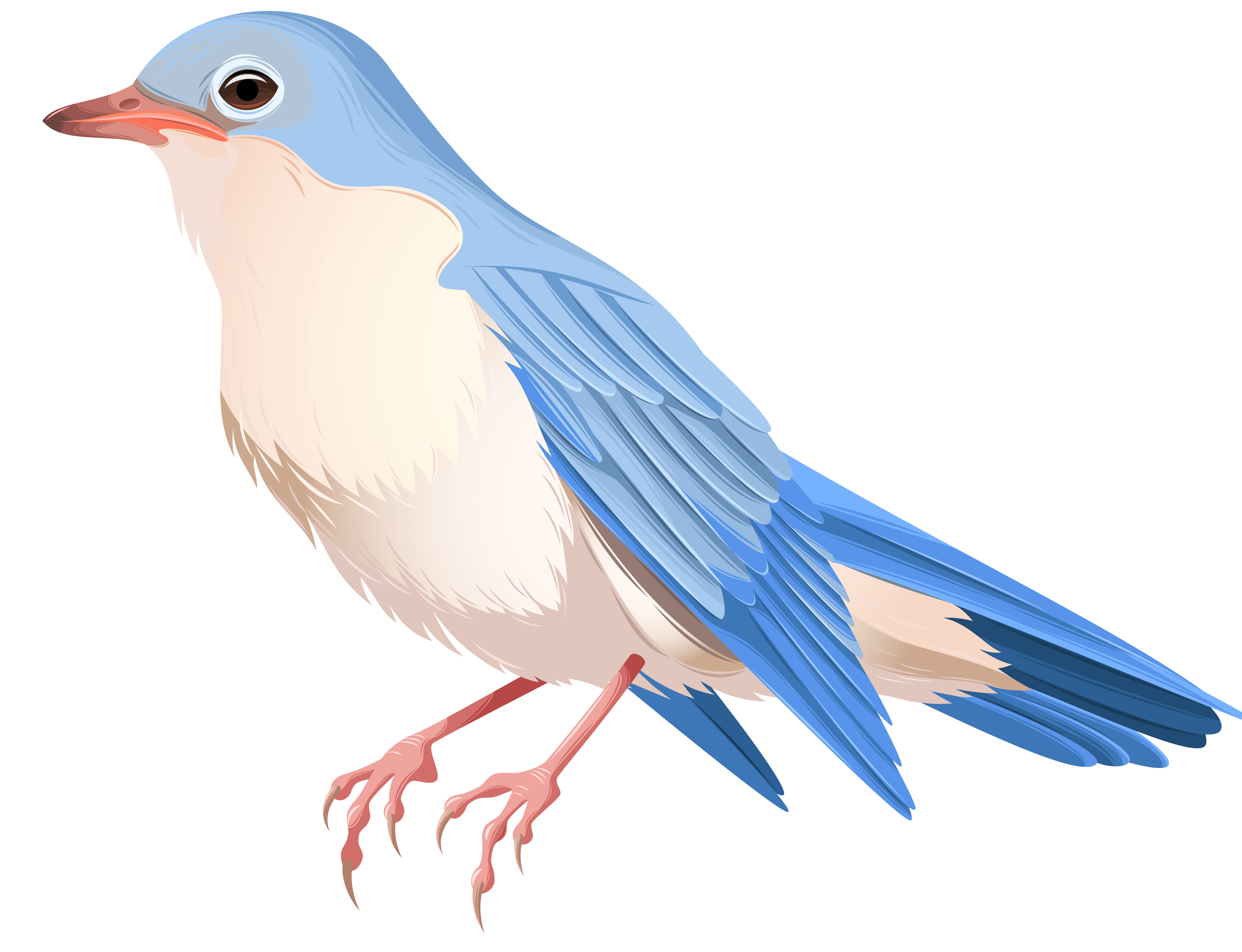 Bird Clip art - paper birds png download - 8000*6133 - Free Transparent