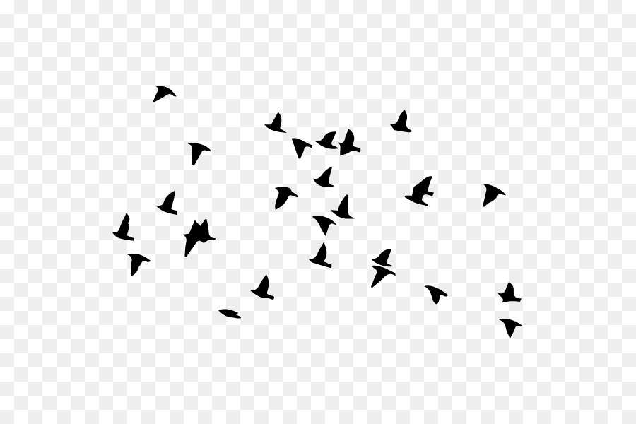Bird flight Flock Wall decal Clip art - Bird png download - 600*600 - Free Transparent Bird png Download.