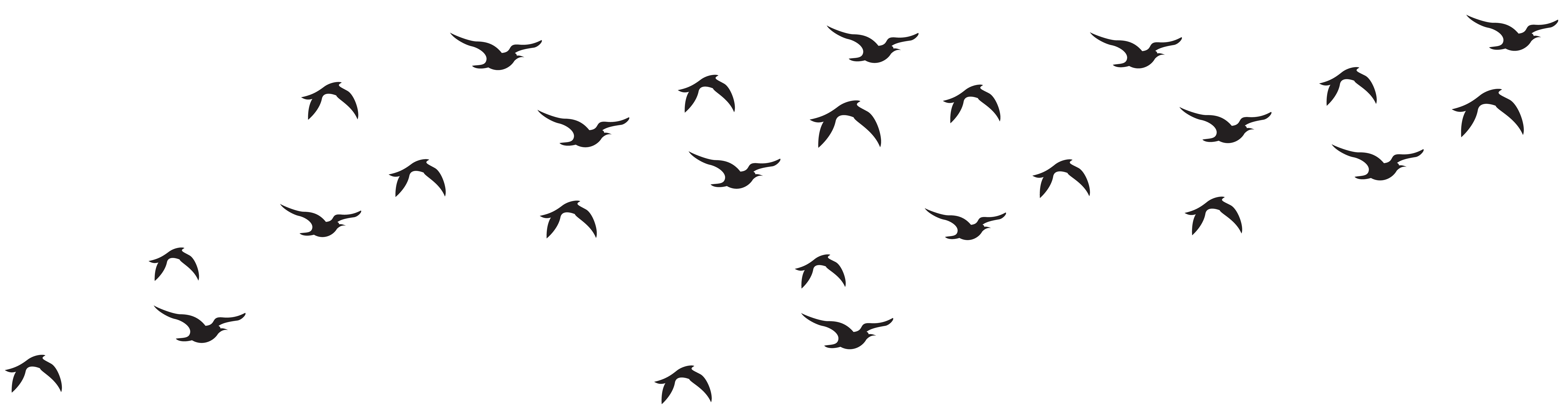 Bird Black and white Logo Birds Flock Silhouette Clip