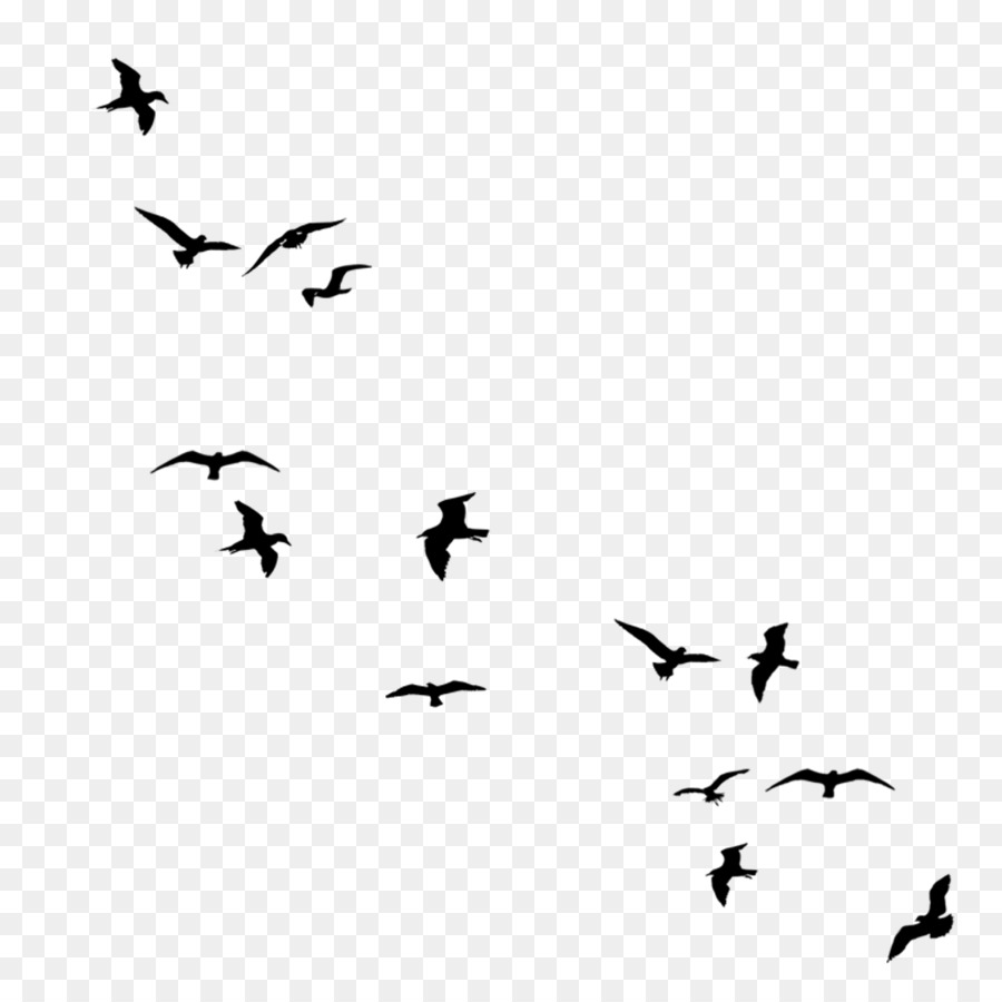 Bird Flight Silhouette Drawing Flock - birds flying png flock png download - 1024*1024 - Free Transparent Bird png Download.