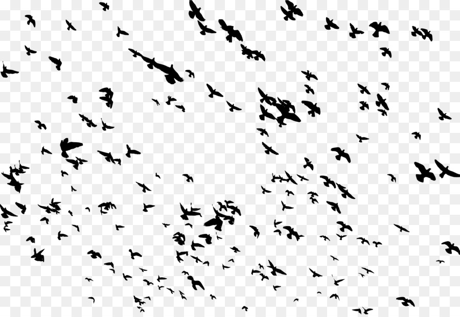 Bird flight Bird flight Flock Clip art - flying bird png download - 2324*1588 - Free Transparent Bird png Download.