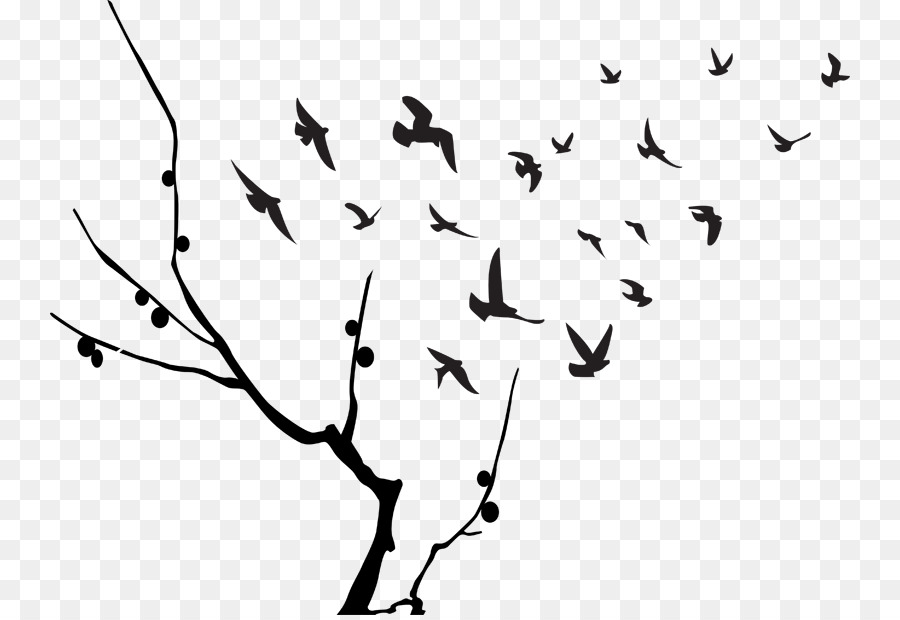 Bird Flight Flock Clip art - Birds Flying Picture png download - 800*615 - Free Transparent Bird png Download.