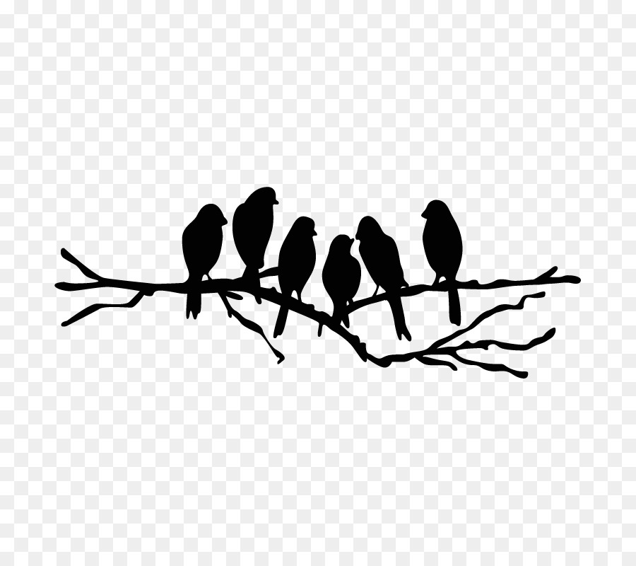 Lovebird Wall decal Branch Stencil - Bird png download - 800*800 - Free Transparent Bird png Download.
