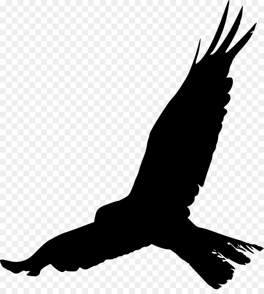 Bird Crows Silhouette Beak Feather - birds silhouette png download - 1830*2000 - Free Transparent  png Download.