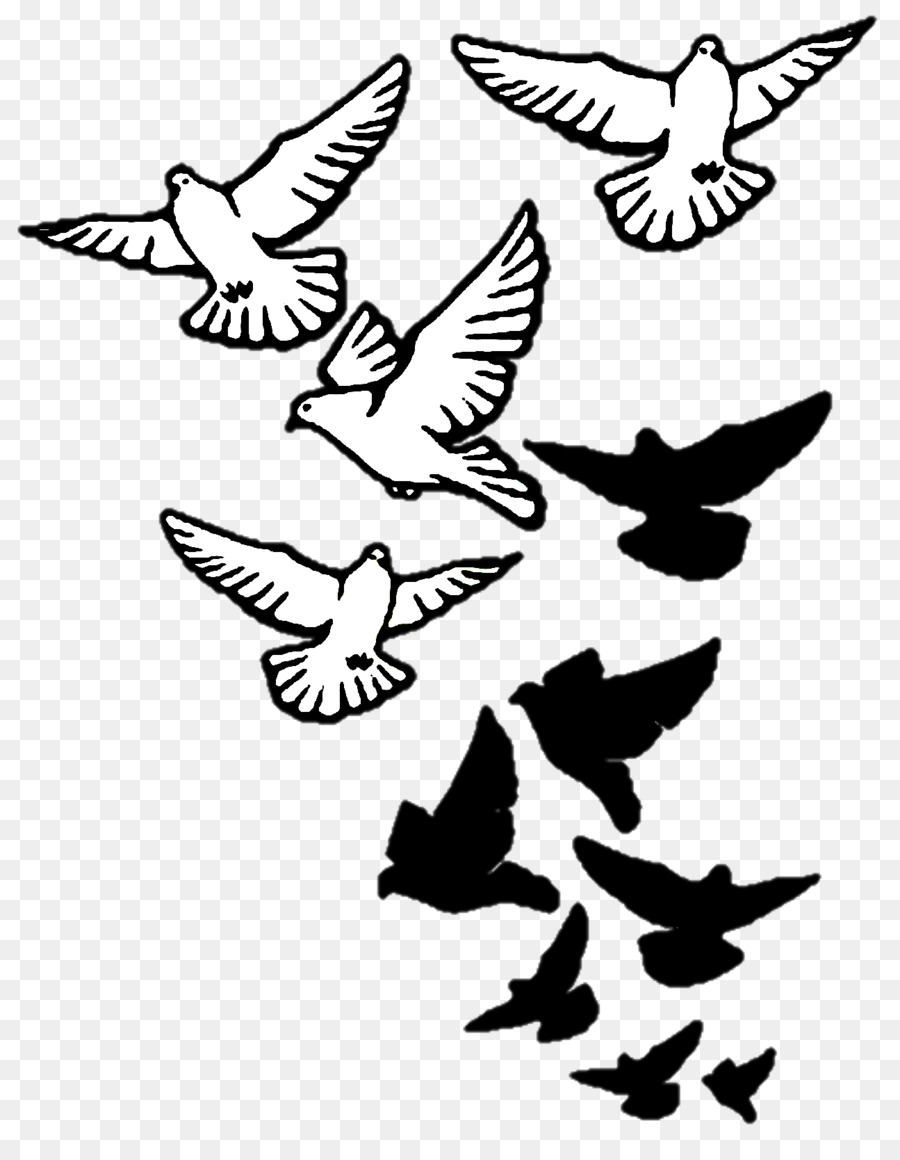 Columbidae Bird Tattoo Drawing Domestic pigeon - pigeon png download - 1295*1644 - Free Transparent Columbidae png Download.