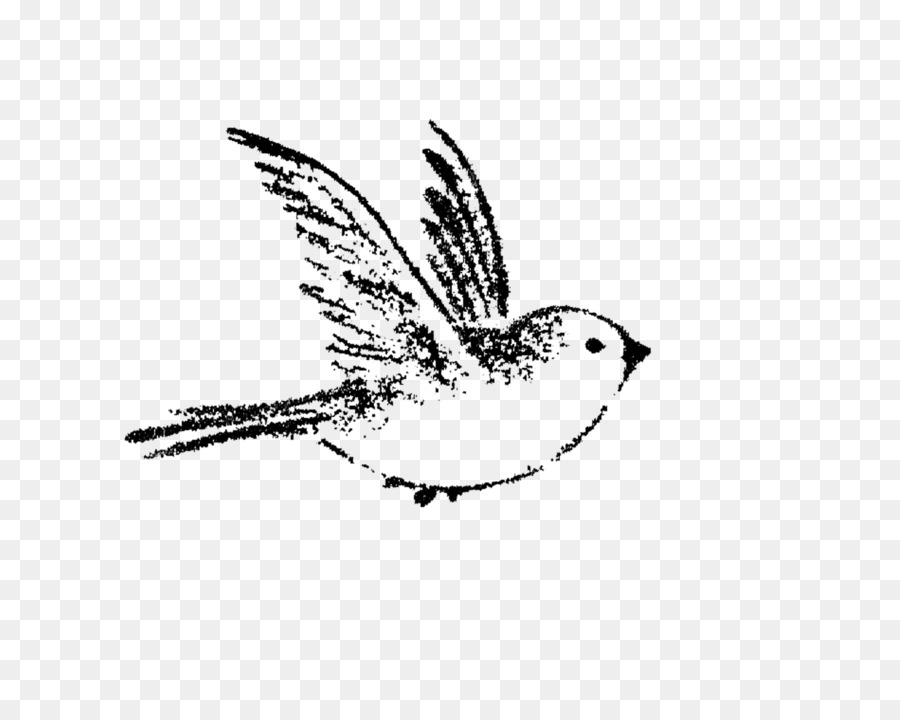 Sparrow Bird Drawing Swallow tattoo Painting - sparrow png download - 1600*1258 - Free Transparent Sparrow png Download.