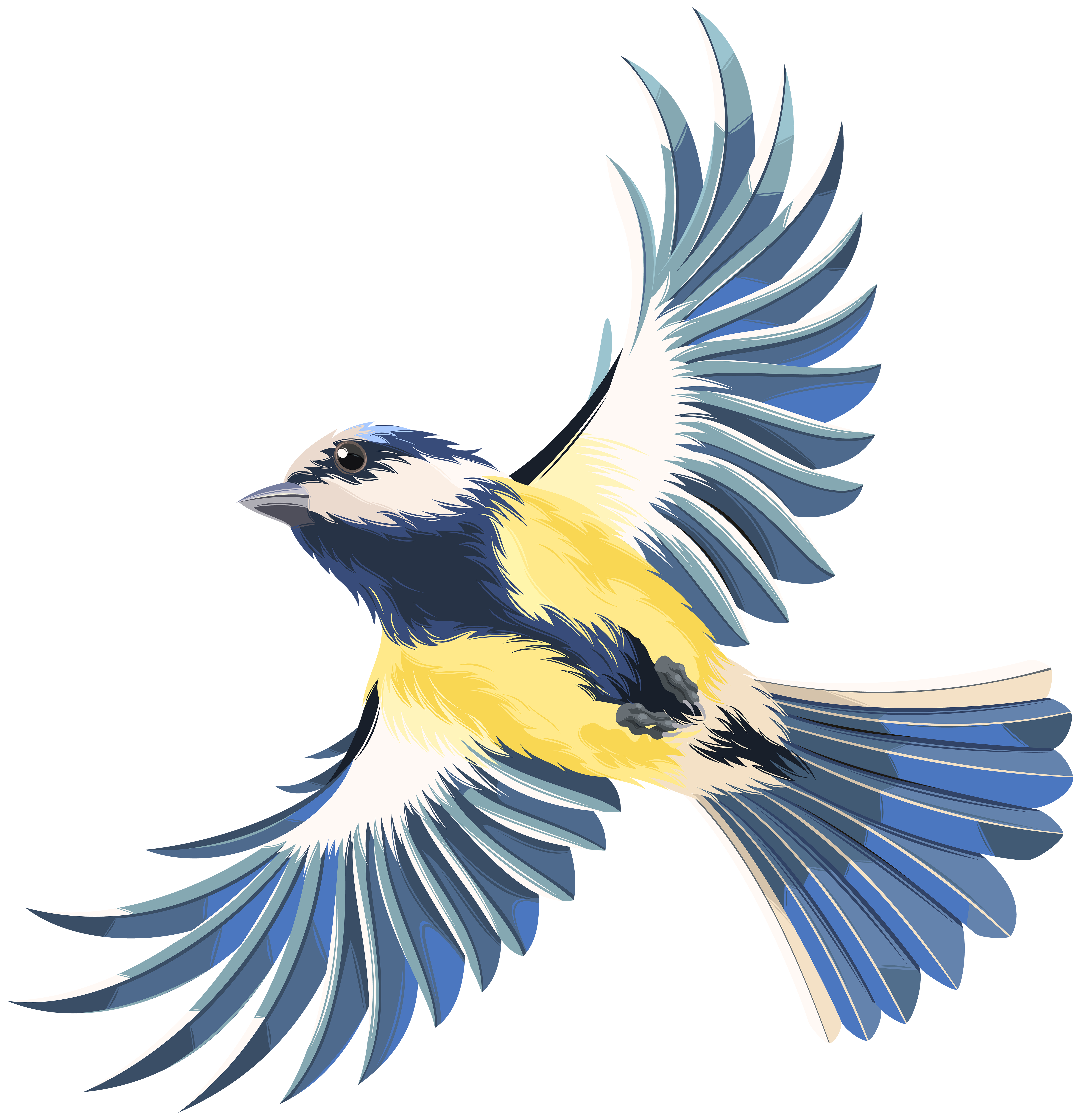 Bird flight Bird flight Clip art - Flying Bird Transparent PNG Clip Art