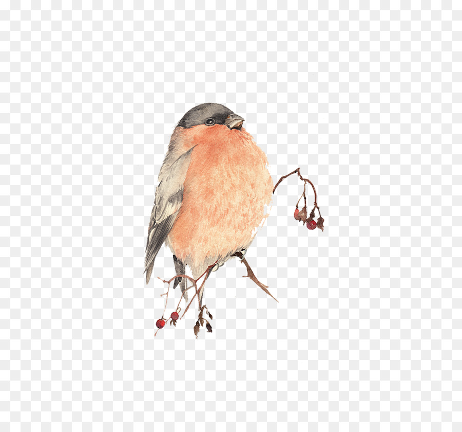 Bird Watercolor painting - Pink Birds png download - 980*900 - Free Transparent Bird png Download.