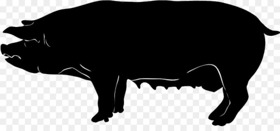 Domestic pig Silhouette Clip art - guinea pig png download - 1920*864 - Free Transparent Domestic Pig png Download.