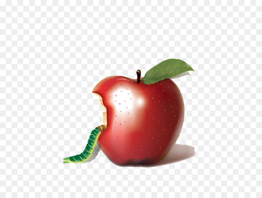 Apple bobbing Biting Auglis - Bitten apple png download - 522*664 - Free Transparent Apple png Download.