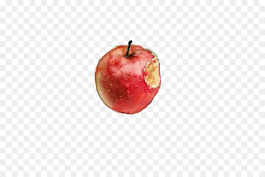 Watercolor painting Apple Sketch - Bitten apple png download - 457*600 - Free Transparent Watercolor Painting png Download.