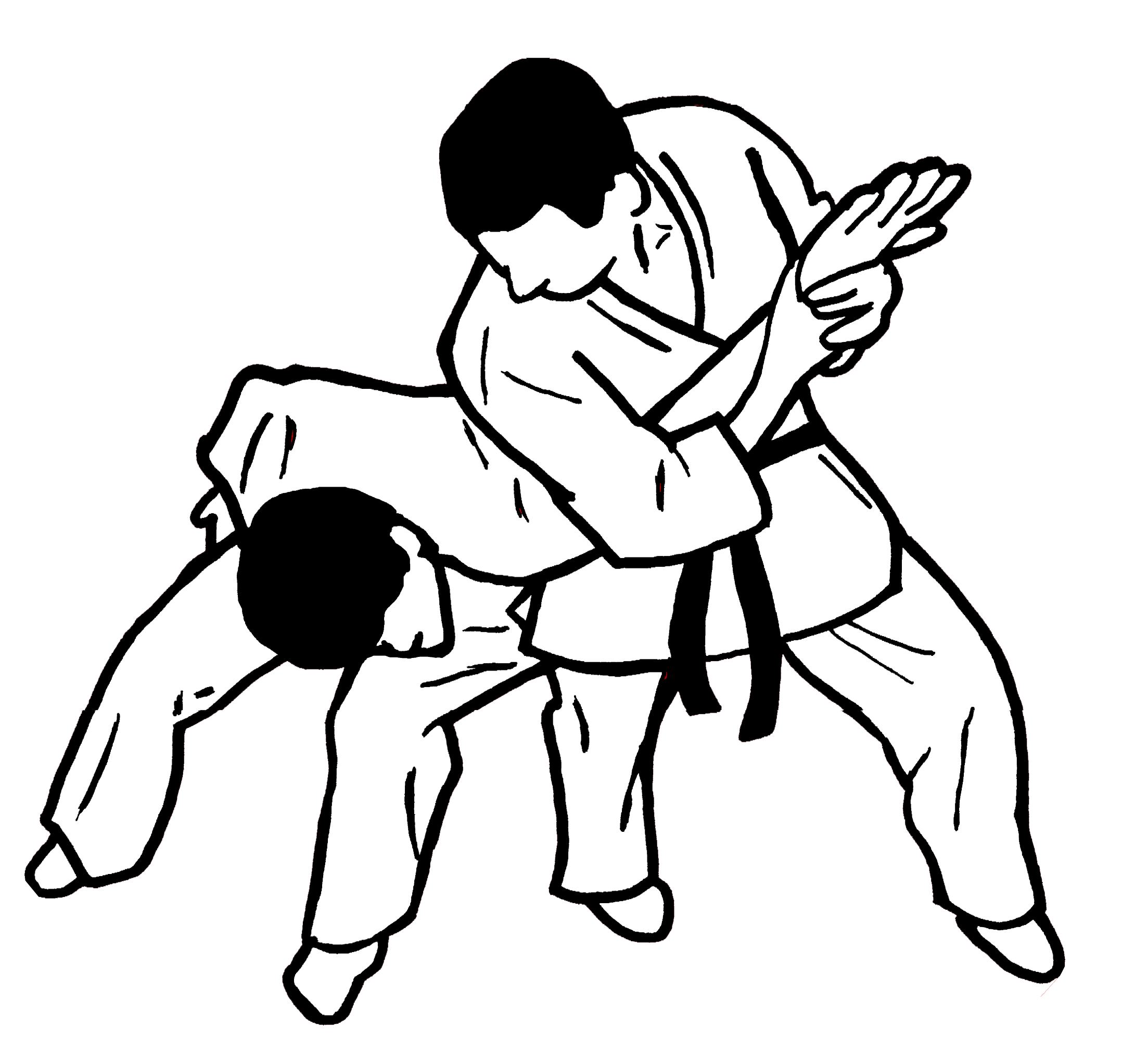 Brazilian Jiu Jitsu Jujutsu Self Defense Taebaek Trixe2ngulo Taekwondo