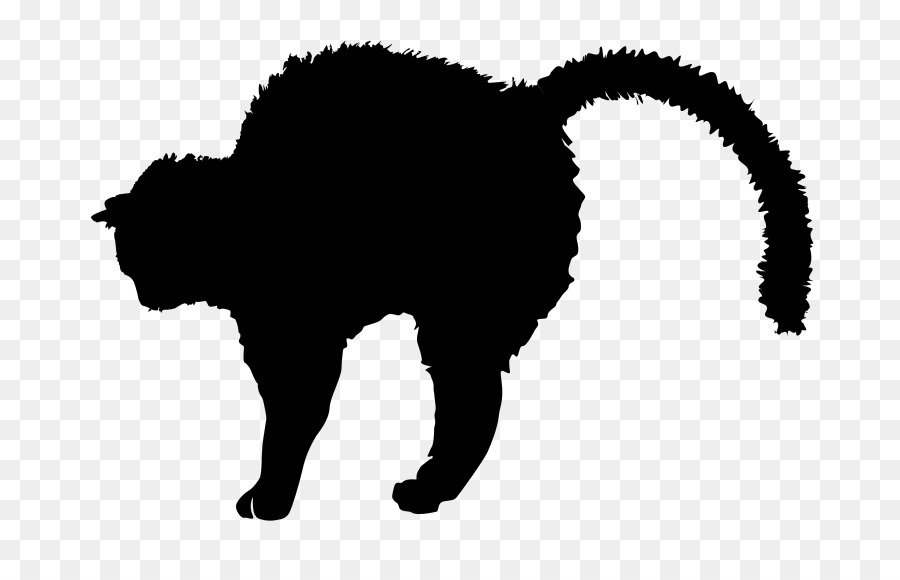 Black cat Black and white Silhouette Clip art - Cat png download - 800*564 - Free Transparent Black Cat png Download.