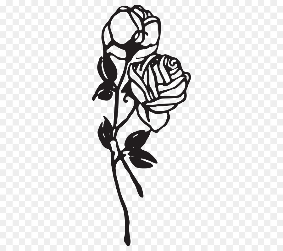 Black rose Black and white Clip art - rose png download - 800*800 - Free Transparent Black Rose png Download.