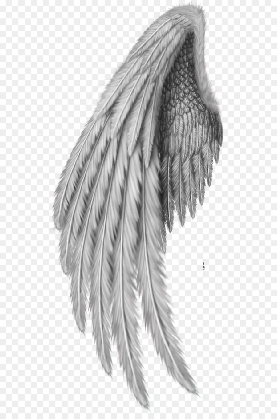 Drawing Clip art - feather png download - 588*1357 - Free Transparent Wing png Download.