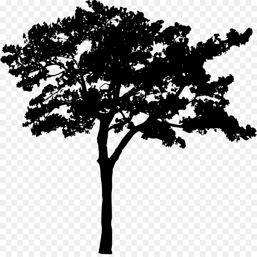 Branch Black and white Silhouette Tree - Silhouette png download - 2000*1978 - Free Transparent Branch png Download.