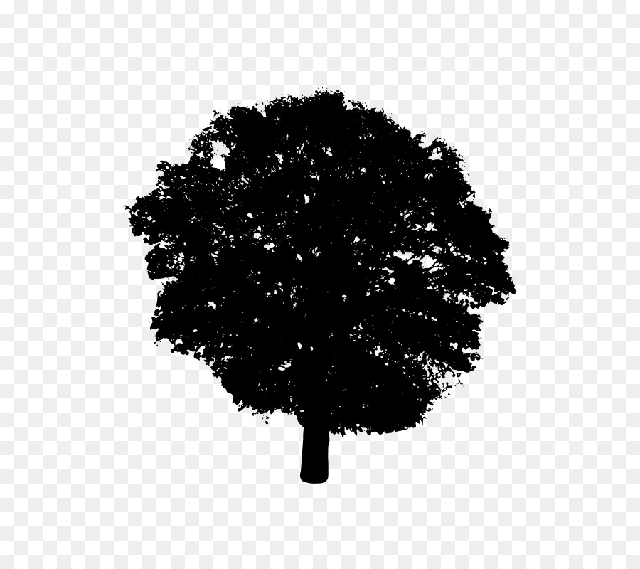Free Black And White Tree Silhouette, Download Free Black And White