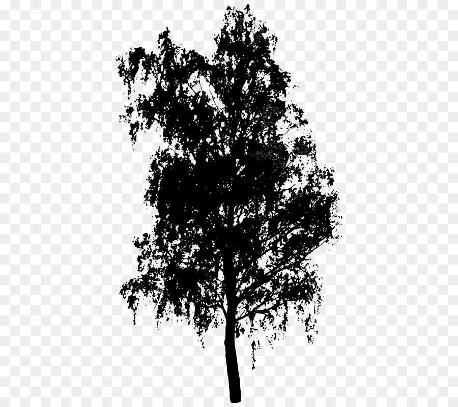 Tree Silhouette Clip art - tree png download - 568*800 - Free Transparent Tree png Download.