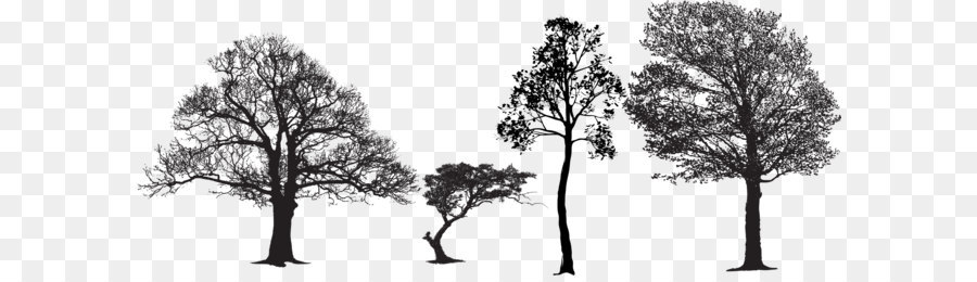 Tree Euclidean vector Silhouette Vector packs - Black and white artwork silhouette of tree shape png download - 2527*986 - Free Transparent Tree png Download.