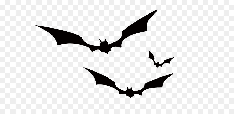 Bat Crows Black and white - bat png download - 676*430 - Free Transparent Bat png Download.