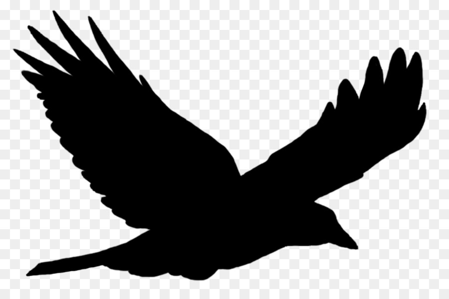 Common raven Bird Crow Clip art Silhouette - raven tattoo png black png download - 1024*661 - Free Transparent Common Raven png Download.