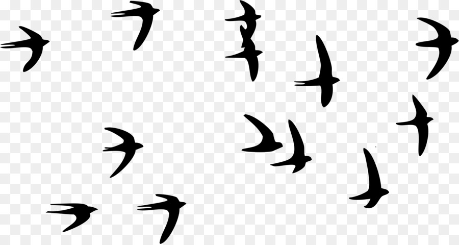 Swallow Bird Paper Tattoo Flock - flock of birds png download - 2364*1256 - Free Transparent Swallow png Download.