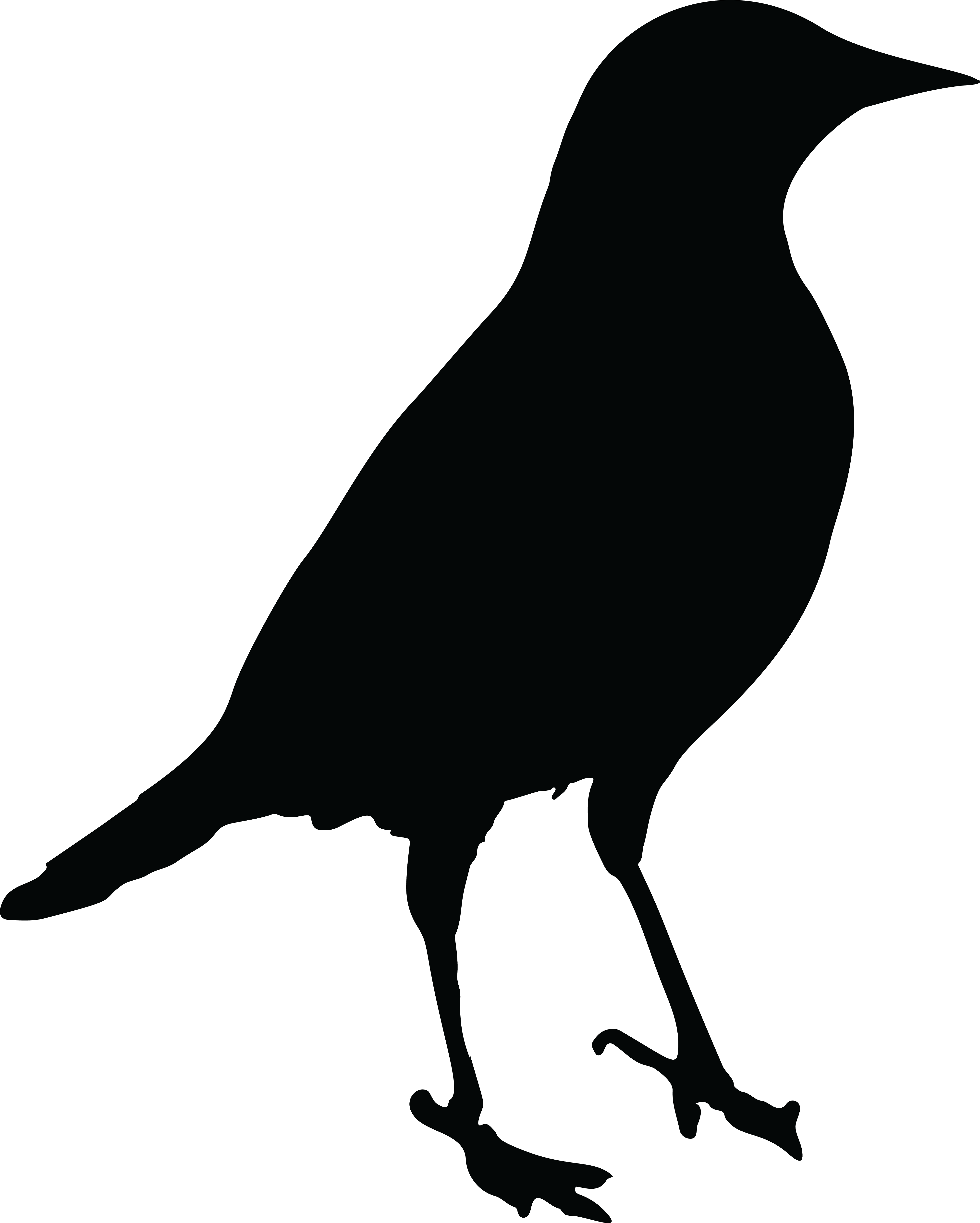 Common blackbird Drawing Clip art - Bird png download - 4000*4993 - Free Tr...