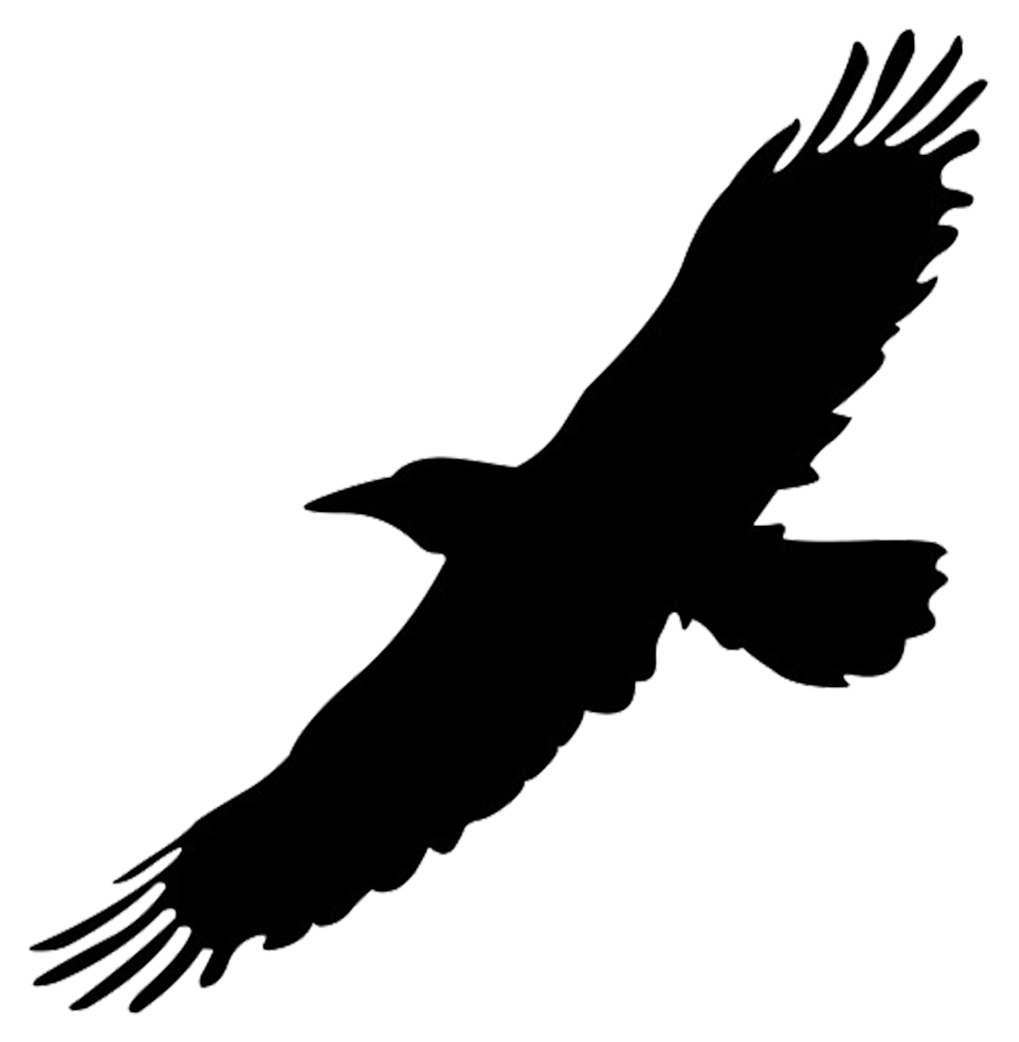 Big Bird Flight Crows Clip Art Big Bird Cliparts Png Download 1019