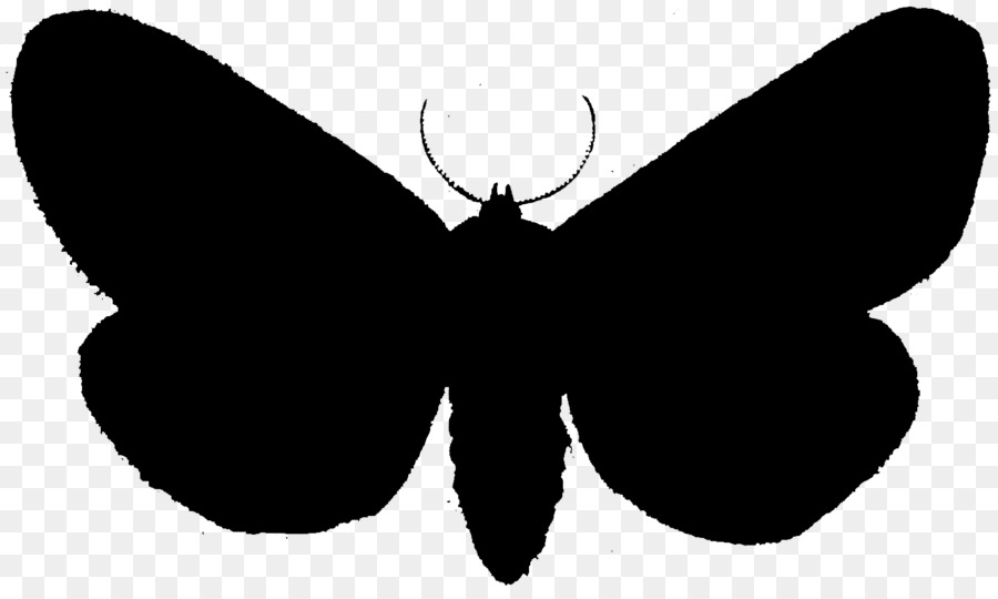 Brush-footed butterflies Moth Clip art Black Silhouette -  png download - 1496*886 - Free Transparent Brushfooted Butterflies png Download.