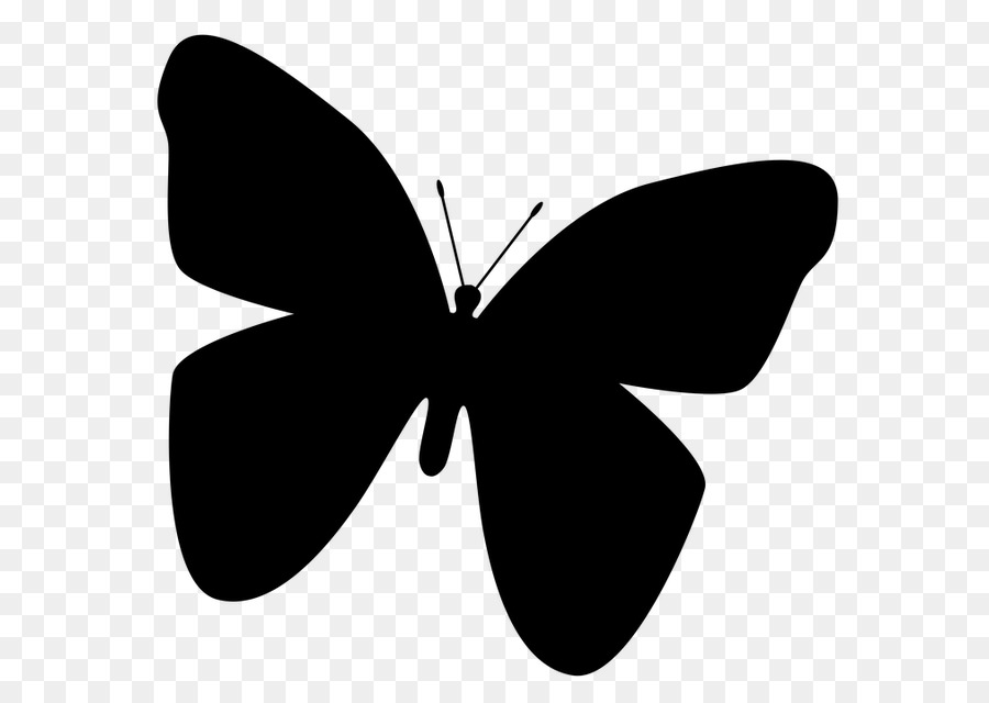 Butterfly Insect Silhouette Clip art - butterfly png download - 640*640 - Free Transparent Butterfly png Download.