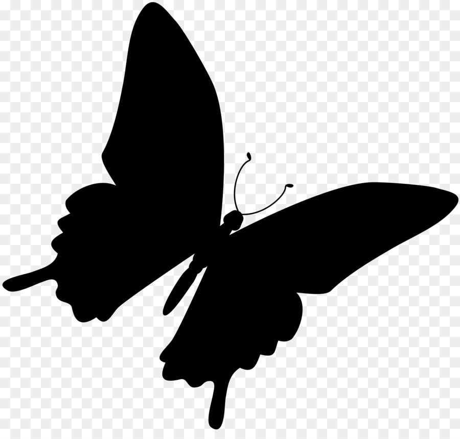 Brush-footed butterflies Black & White - M Clip art Silhouette Black M -  png download - 8000*7512 - Free Transparent Brushfooted Butterflies png Download.