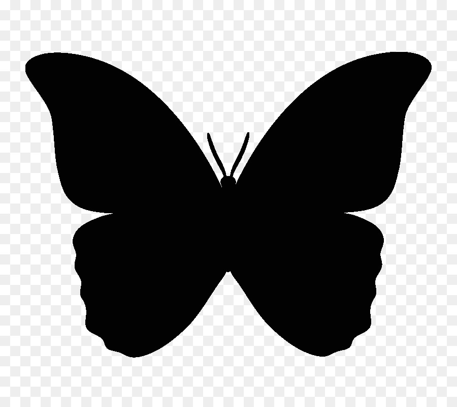 Butterfly Silhouette Clip art - butterfly png download - 800*800 - Free Transparent Butterfly png Download.
