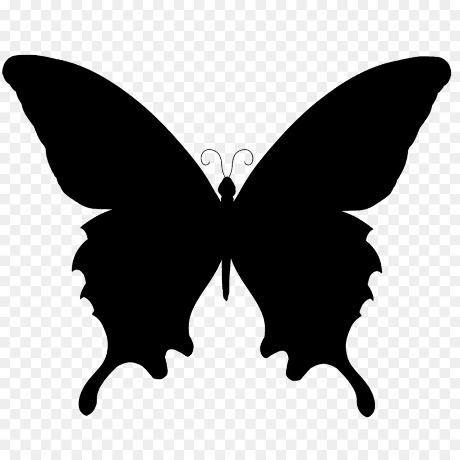 Butterfly Silhouette - butterfly png download - 1000*1000 - Free Transparent Butterfly png Download.