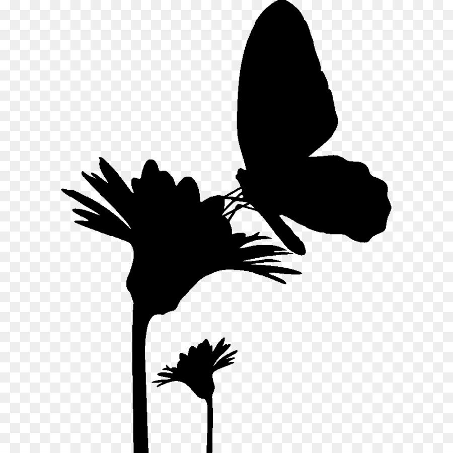 Butterfly Silhouette Drawing - butterfly png download - 1000*1000 - Free Transparent Butterfly png Download.