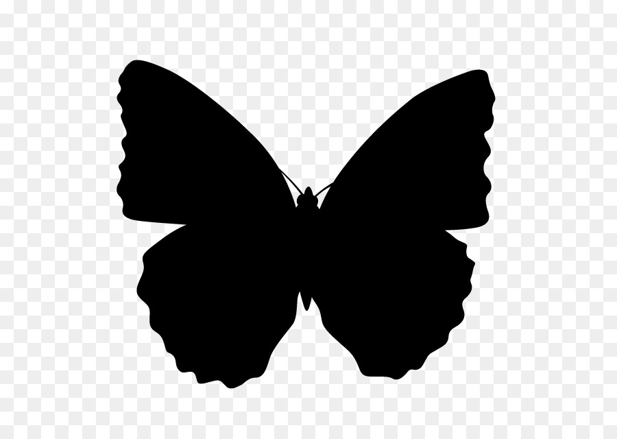Brush-footed butterflies Butterfly Silhouette Clip art - animal silhouettes png download - 640*640 - Free Transparent Brushfooted Butterflies png Download.