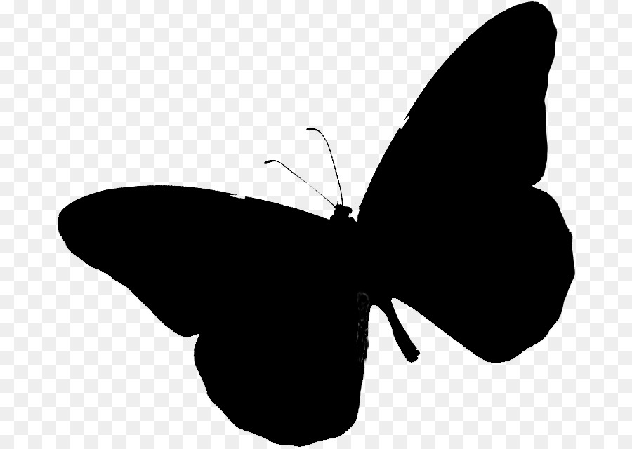 Brush-footed butterflies Clip art Silhouette Black M -  png download - 745*640 - Free Transparent Brushfooted Butterflies png Download.