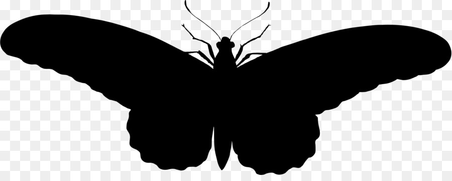 Butterfly Silhouette Clip art - black wings png download - 2253*872 - Free Transparent Butterfly png Download.