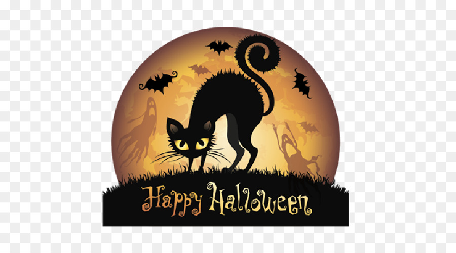 Halloween Black cat Clip art - cobweb cartoon png download - 500*500 - Free Transparent Halloween  png Download.