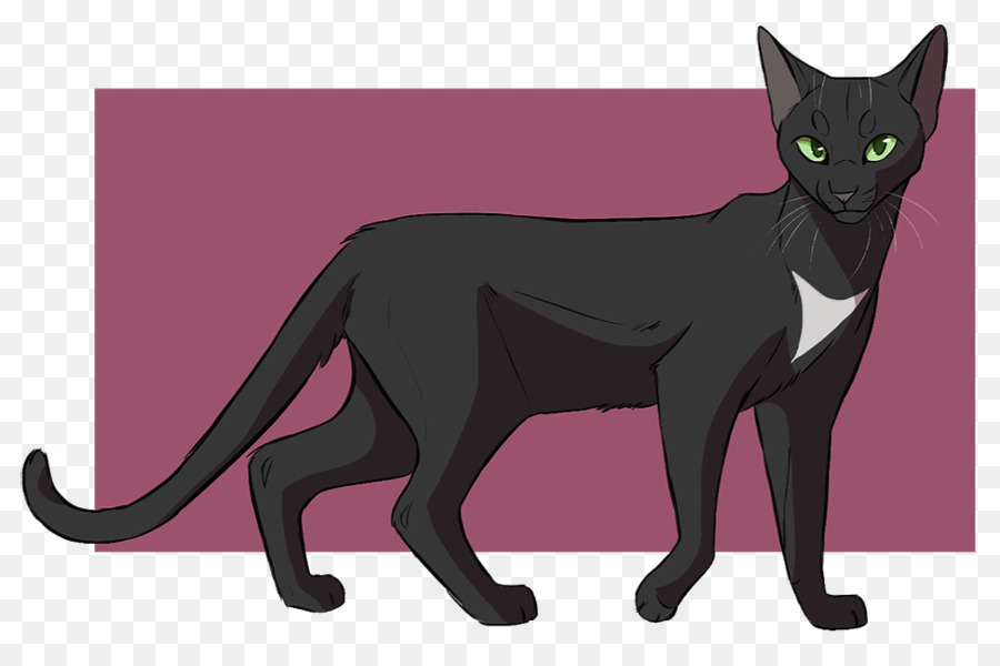 Black cat Warriors Kitten Drawing - Cat png download - 974*644 - Free Transparent Cat png Download.
