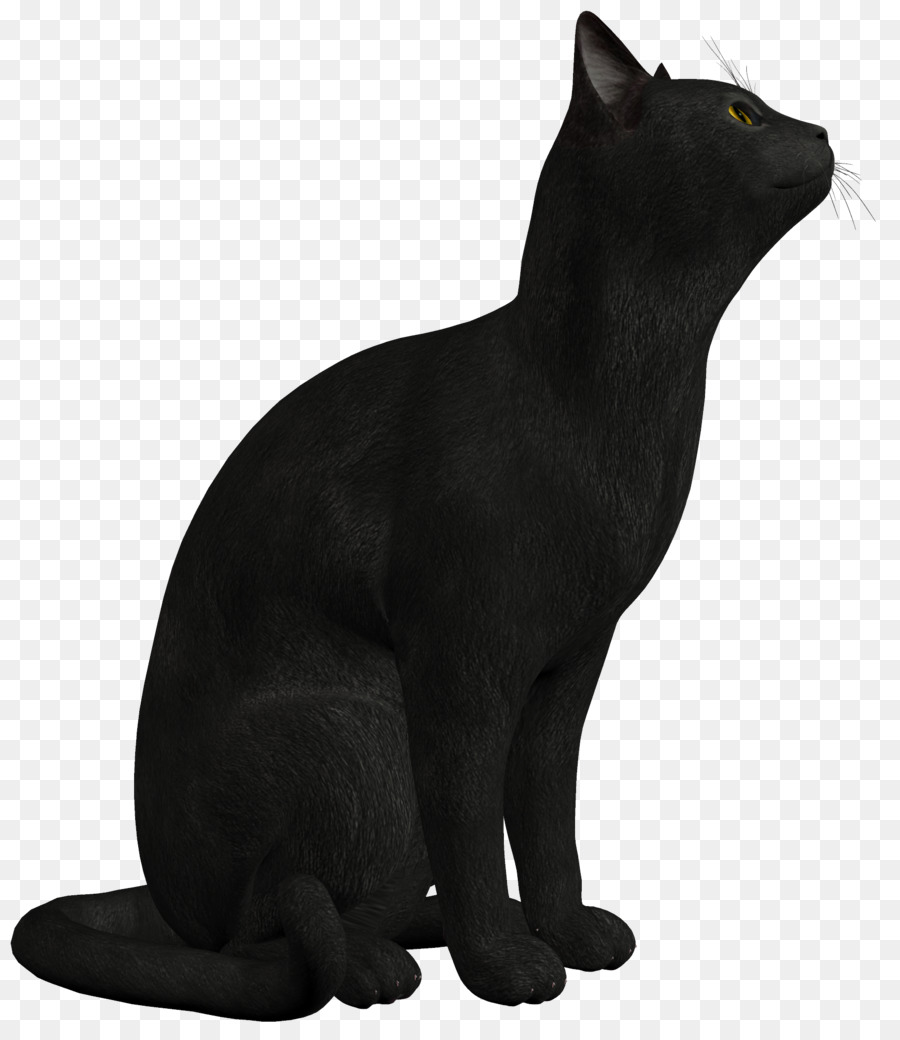 Persian cat Black cat Kitten Clip art - Black Cat PNG Photo png download - 1745*2000 - Free Transparent Cat png Download.