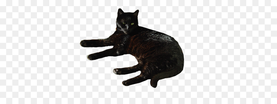 Black cat Domestic short-haired cat Bombay cat Whiskers Desktop Wallpaper - others png download - 401*326 - Free Transparent Black Cat png Download.