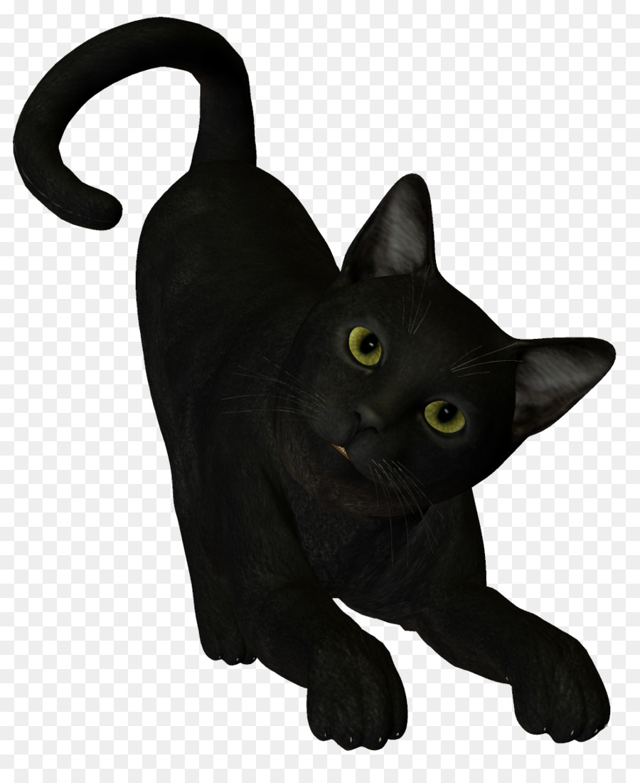Black cat Boszorkxe1ny - witch cat png download - 991*1191 - Free Transparent Black Cat png Download.