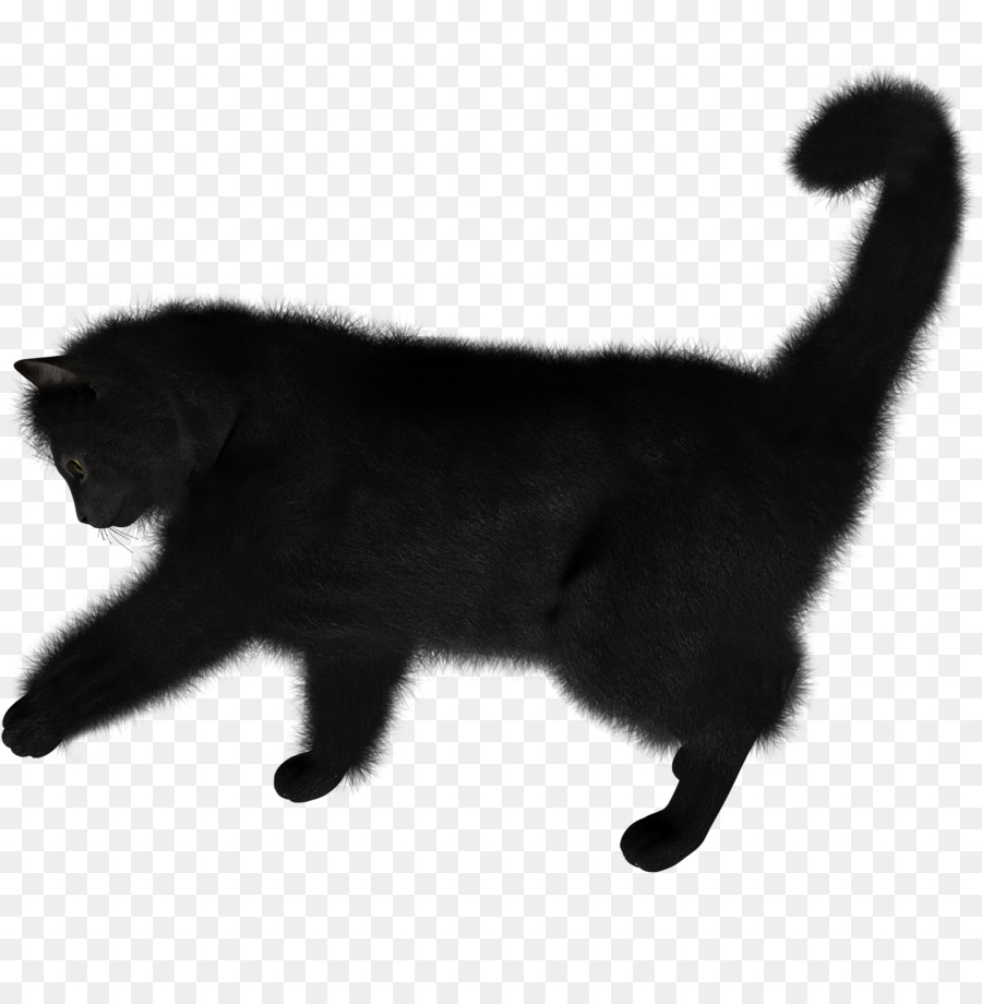 Black cat Kitten Computer Icons - Cat png download - 1490*1520 - Free Transparent Cat png Download.