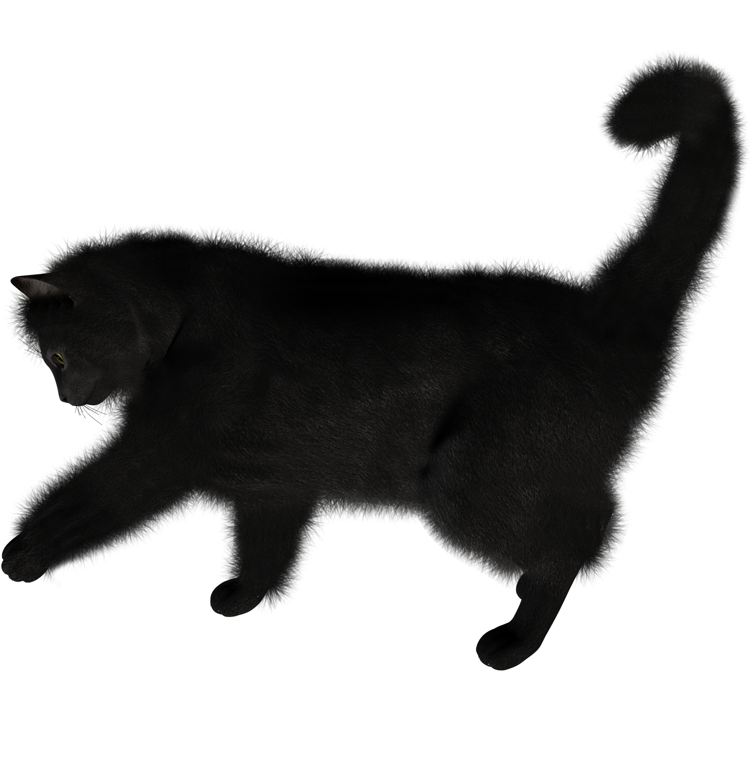 Black cat Kitten Computer Icons - Cat png download - 1490*1520 - Free