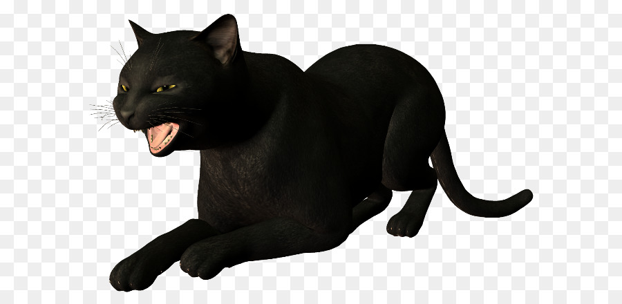 Black cat Panther Whiskers - Cat png download - 650*434 - Free Transparent Black Cat png Download.