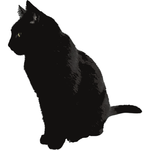 Russian Blue Kitten Black cat - kitten png download - 512*512 - Free
