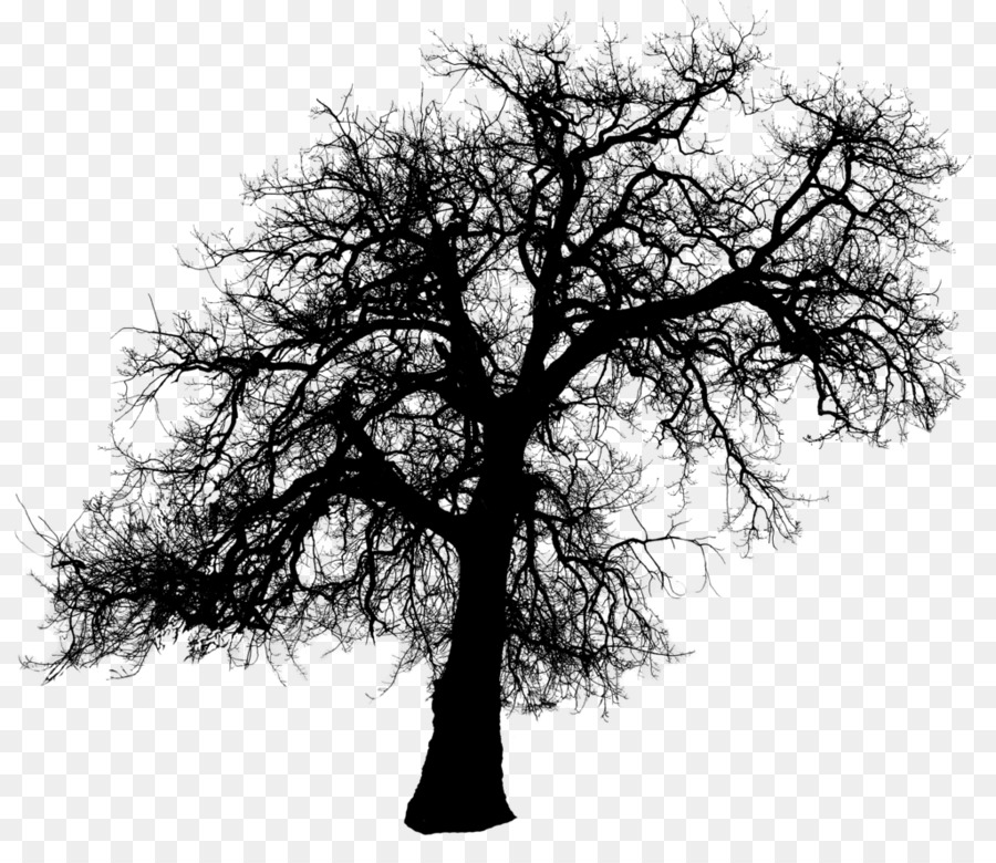 Tree Silhouette Clip art - Trees Silhouette png download - 1024*880 - Free Transparent Tree png Download.