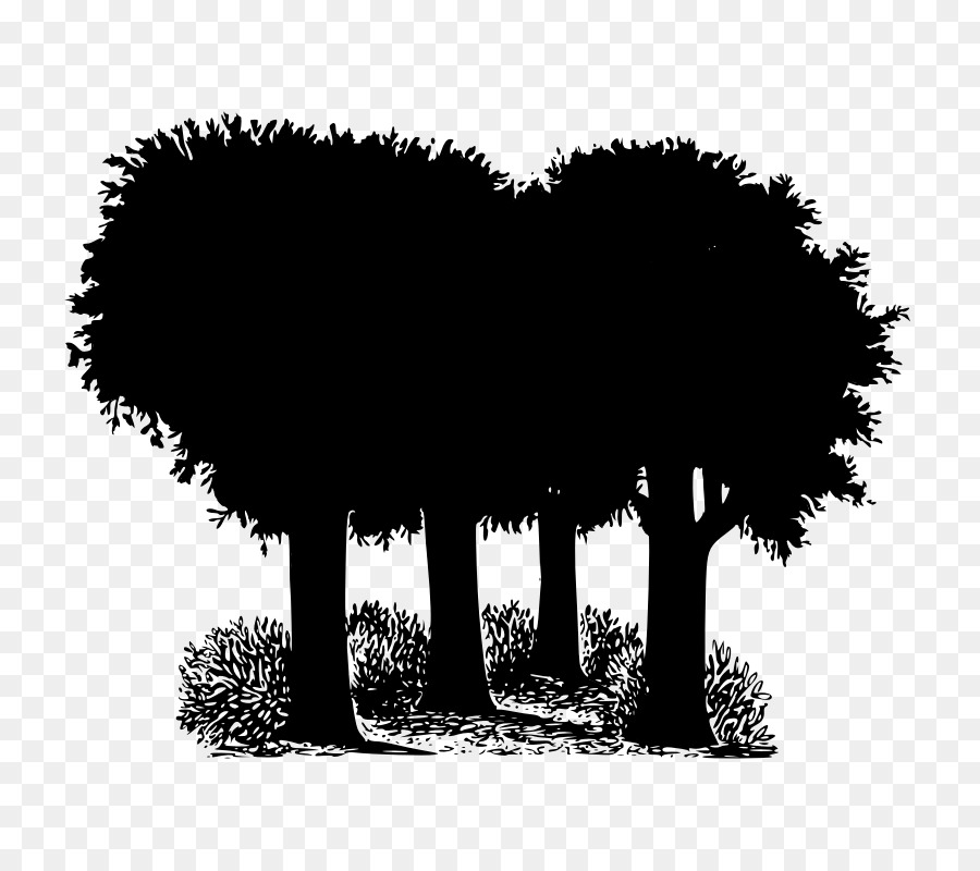 Tree Oak Forest Image Vector graphics -  png download - 800*800 - Free Transparent Tree png Download.